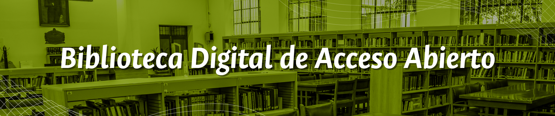 Banner Web